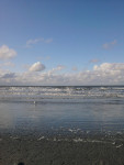 De Noordzee